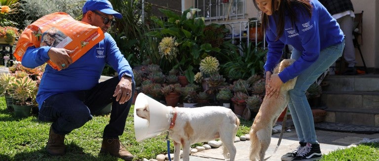 A man kneels down to greet a dog