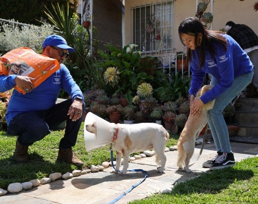 A man kneels down to greet a dog