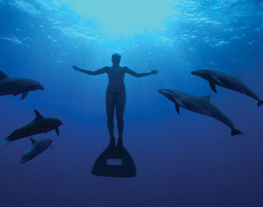 Image from The Cove documentary