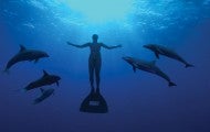 Image from The Cove documentary