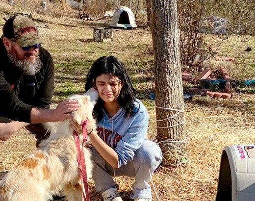Dog shelters delivered in Tennessee