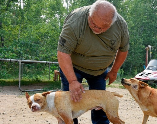 Rick Haaland of Leech Lake Band of Ojibwe Pets for Life and Rachel Thompson from Pets for Life pet three dogs outside a home