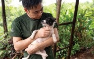 HSI staffer Quang Nguyen removes a dog from a Viet Nam dog meat facility.