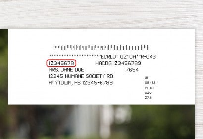 All Animals magazine mailing label example