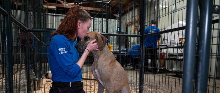 A person hugs a dog at a temporary shelter