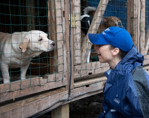 HSUS staff with a dog being rescued from a large-scale alleged severe neglect case in Florida