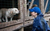 HSUS staff with a dog being rescued from a large-scale alleged severe neglect case in Florida