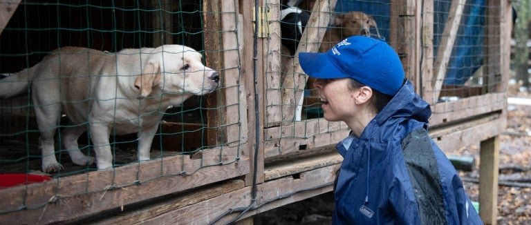 HSUS staff with a dog being rescued from a large-scale alleged severe neglect case in Florida