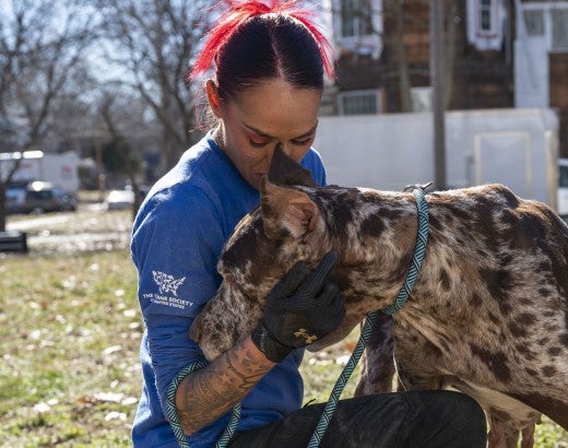 Animal rescue responder greets a dog