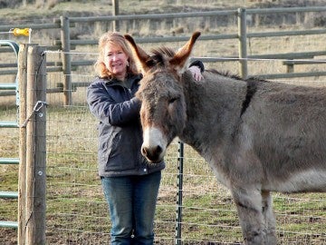 Samson, a burro adopted by Robin Mock