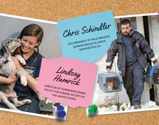 Photos of Chris Schindler and Lindsay Hamrick tacked onto a cork board.