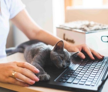A woman using a computer