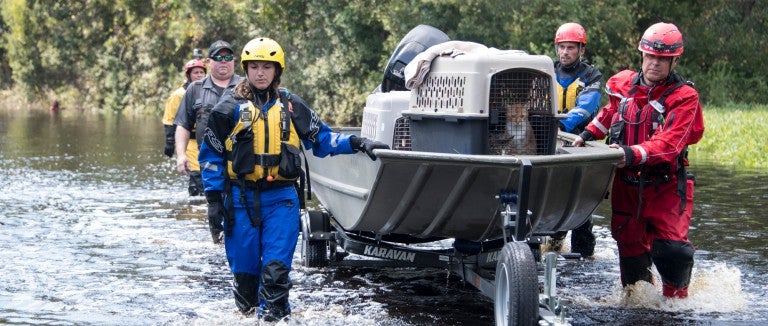 Field responders pushing a boat to shore with cats on board
