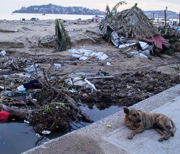 Photo by Oscar Guerrero Ramirez/Getty Images