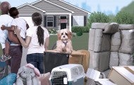 Illustration of a family with a dog in front of their house with eviction sign on it, surrounded by their belongings.