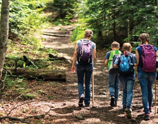 Mother and three kids on a nature walk