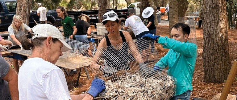 A team of people fill a cage with shells to restore an oyster reef near Kiawah Island.