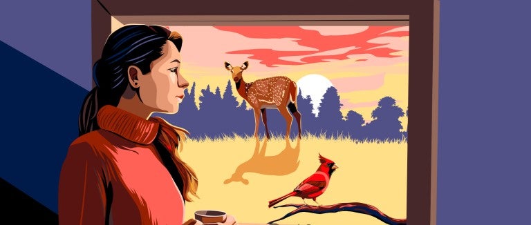 Illustration of a woman looking out a window at a deer and cardinal outside.