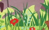 a dog points in a field of grass and wildflowers as a rabbit looks on