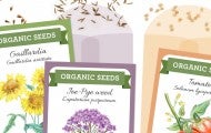 native seed packets