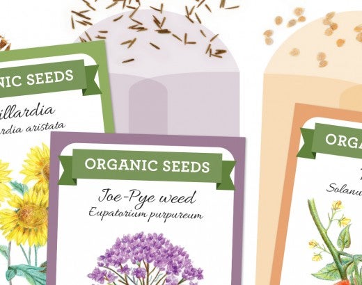 native seed packets