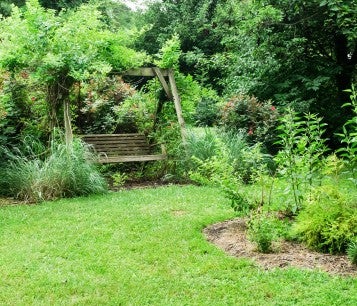 humane backyard with a bench and birdbath