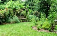 humane backyard with a bench and birdbath