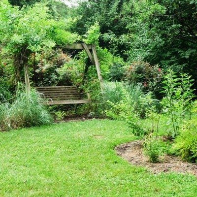 humane backyard with a bench and birdbath