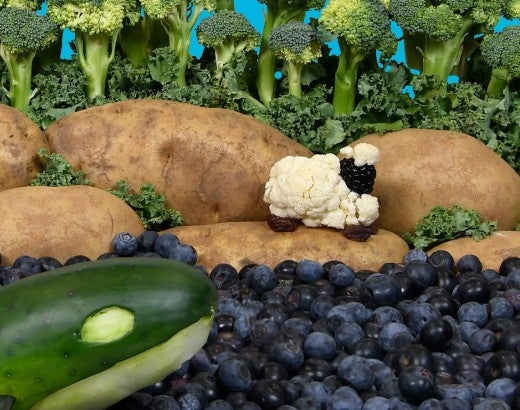 Vegetable scene of a cauliflower and blackberry lamb on a potato and broccoli landscape with a cucumber whale swimming in a blueberry ocean. 
