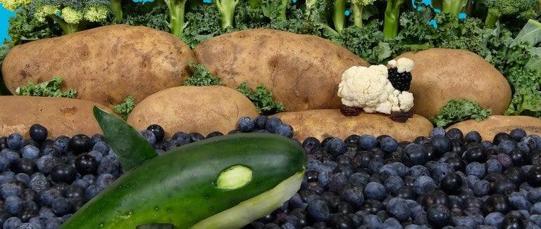 Vegetable scene of a cauliflower and blackberry lamb on a potato and broccoli landscape with a cucumber whale swimming in a blueberry ocean. 