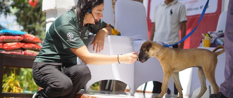 A woman feeds a dog
