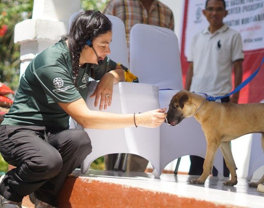 A woman feeds a dog