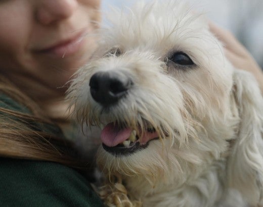 Woman holds a dog in her arms