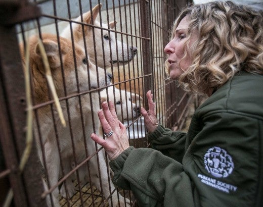 Woman greets a dog through a cage