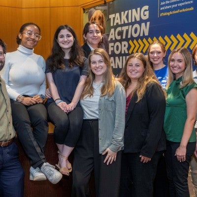 TAFA interns