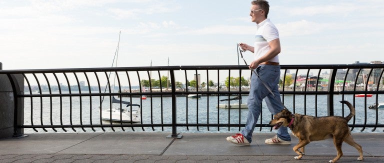 Man walking dog on bridge