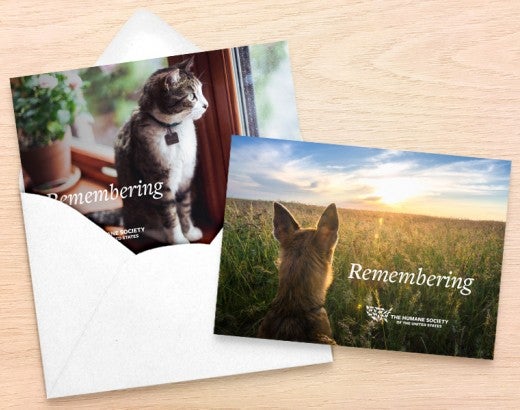 Memorial cards