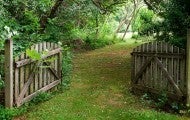 open gate leading into a lush green garden