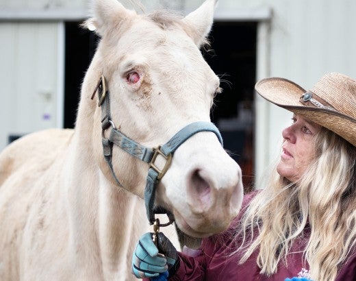 Animal transporter Dee Owens leads a blind mare who was found pacing in her pen.