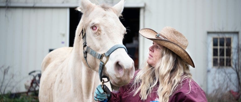 Animal transporter Dee Owens leads a blind mare who was found pacing in her pen.