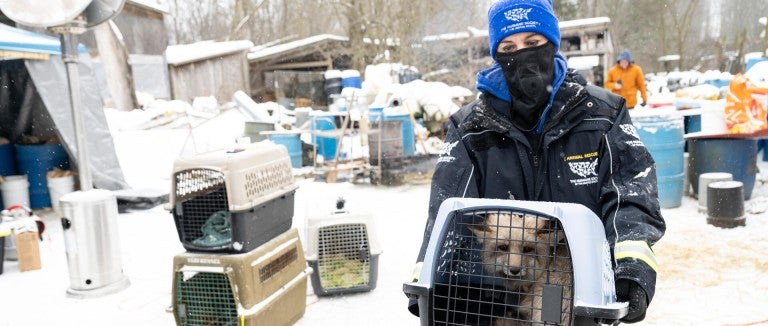 Person holding a crate with a fox