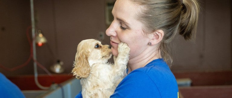 Puppy touching rescue team member's face