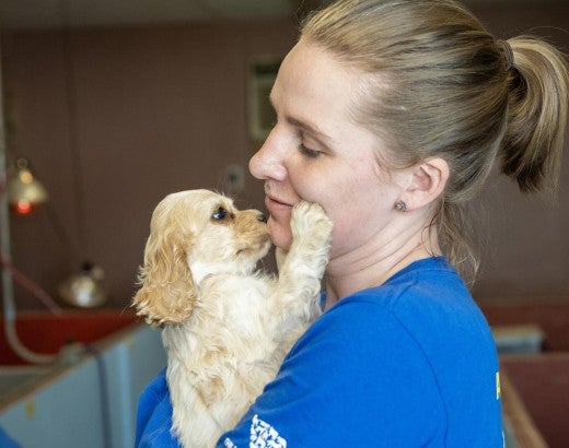 Puppy touching rescue team member's face