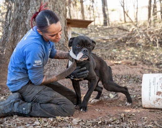 Animal Rescue Team in Oklahoma