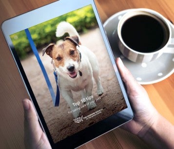 Person holding an iPad looking at the HSUS Pet Tips eBook