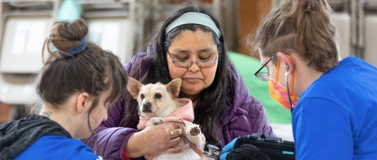 Brandi Markishtum holds pup Lola for a veterinary exam by veterinarian Colleen Cassidy, right, and veterinary assistant Sara Michelassi during the RAVS clinic serving the Quinault Nation.