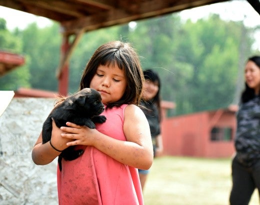  girl holds a puppy