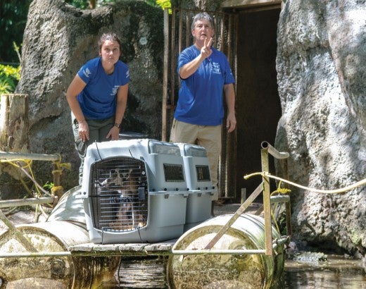 HSUS staff load a pair of lemurs onto a raft to cross a moat at zoo before transporting to sanctuary