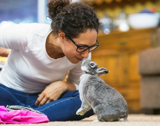 Rabbit and woman