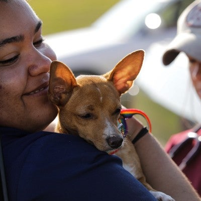 Two RAVS volunteers examine a small dog